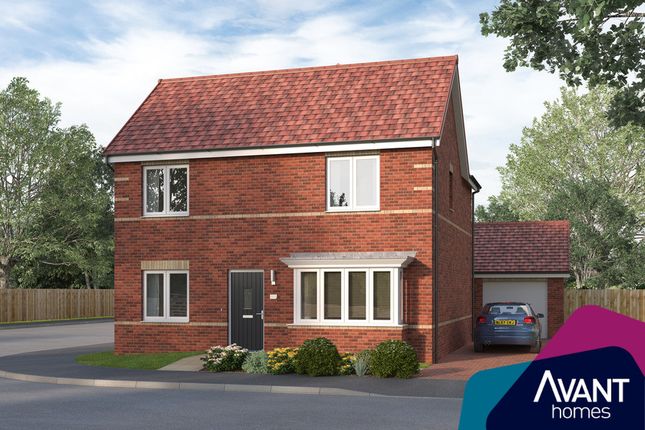 Detached house for sale in "The Nutbridge" at Summerville Avenue, Stockton-On-Tees