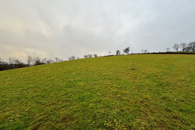 Land for sale in Rhydcymerau, Llandeilo