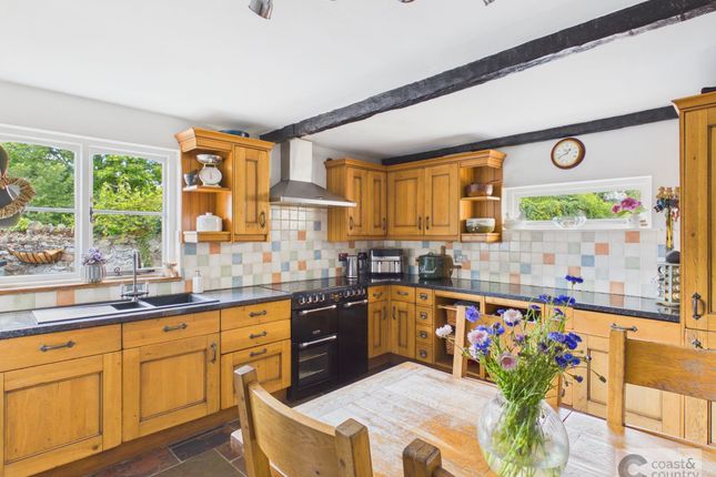 Torre Cottage, Newton Abbot photo 4