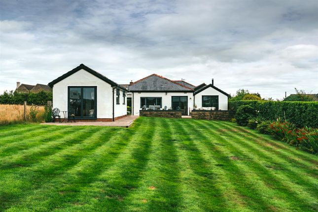 Exterior And Gardens