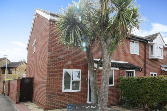 Thumbnail Semi-detached house to rent in Burgess Field, Chelmsford