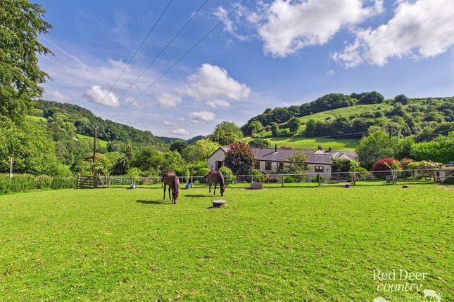 Pit Pony Cottage, Minehead photo 2