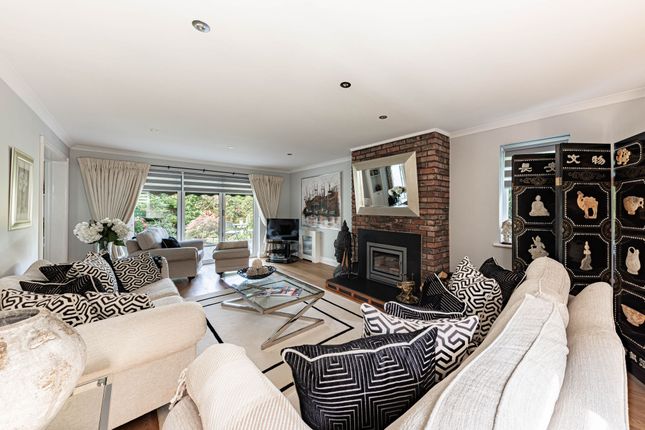 Hogbens Hill, Faversham photo 2