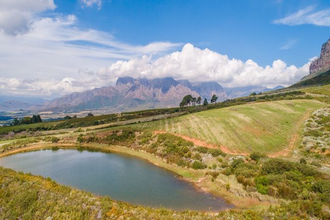 Thumbnail Land for sale in Plaisir Wine Estate Farm 8, Simondium, Cape Winelands, Western Cape, 7670