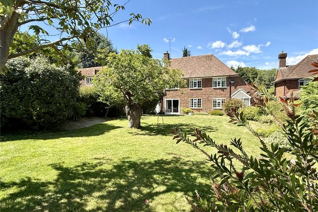 9, Walnut Tree Walk, East Sussex photo 3