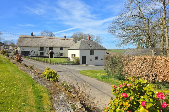 Thumbnail Detached house for sale in Milton Damerel, Holsworthy, Devon