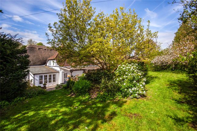 Detached house for sale in North Waltham, Basingstoke, Hampshire