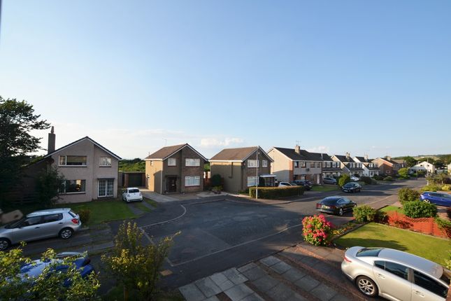Commercial Property To Rent In Troon Commercial Property To Rent In Troon