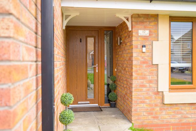 12, Bryson Place, Larbert photo 2