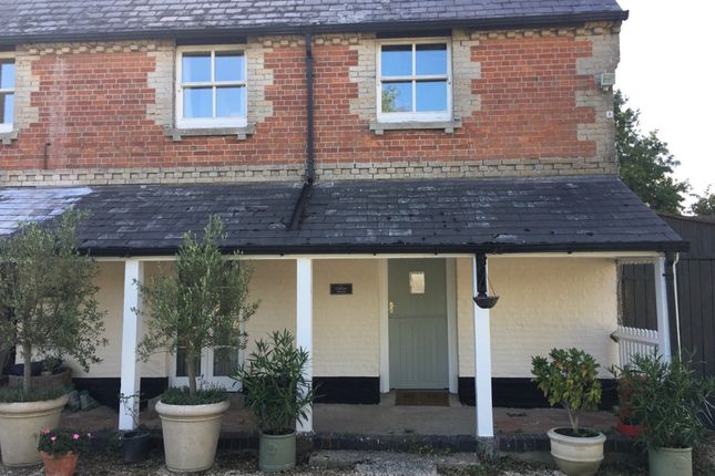 Thumbnail Semi-detached house to rent in Sedgehill, Shaftesbury