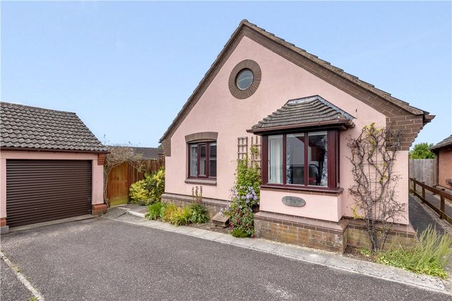 Thumbnail Bungalow for sale in The Cricketers, Axminster, Devon