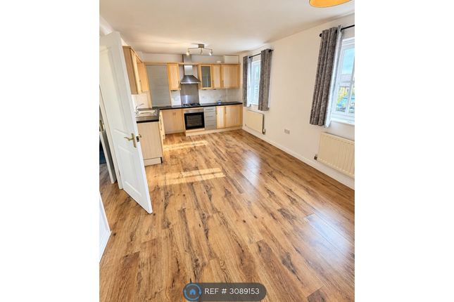 Ash, Canterbury photo 3