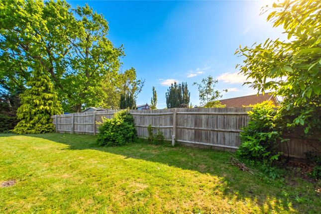23, Bluebell Rise, Surrey photo 4