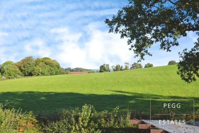 8 Pembroke Park, Paignton photo 2