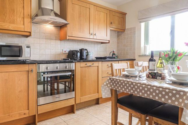 Gwen Kitchen 2