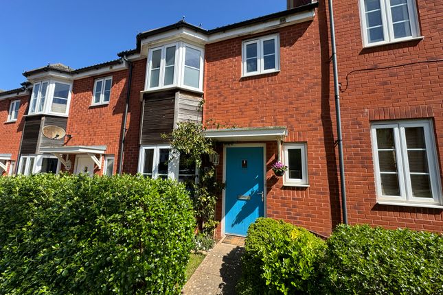 Thumbnail Terraced house for sale in River Plate Road, Exeter