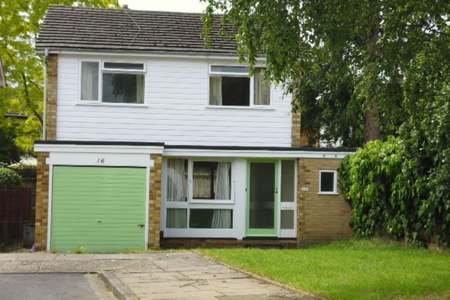 Thumbnail Property to rent in Wensleydale Gardens, Hampton