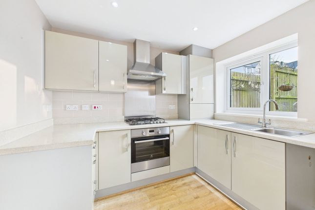 14, Meadowsweet Lane, Paignton photo 4