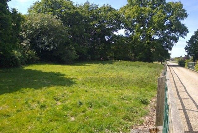 Moores Lane, Colchester photo 5
