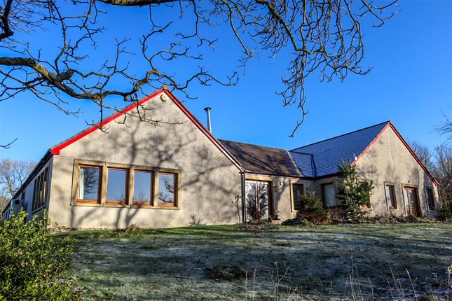 Thumbnail Bungalow for sale in Braehead, Forth, Lanark, South Lanarkshire