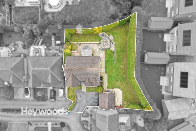 17 Bluebell Drive, Newcastle photo 4