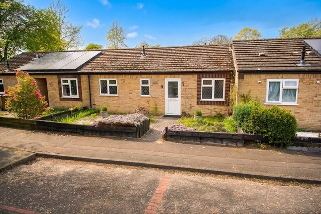 30 Plantsman Close, Norwich photo 4