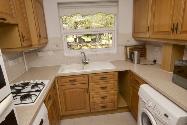 7, Garden Court, West Moors photo 4