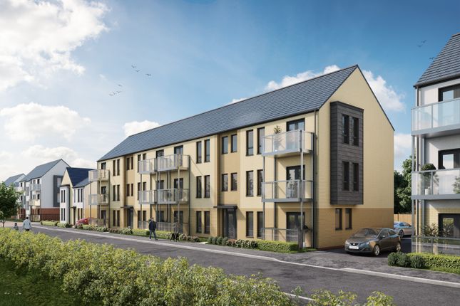 External CGi