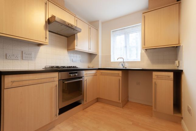 Detached house to rent in Walsingham Place, Exeter
