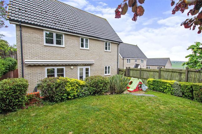 Thumbnail Detached house for sale in The Row, Sutton, Ely, Cambridgeshire