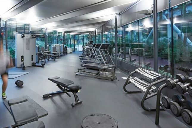 Gym.Png