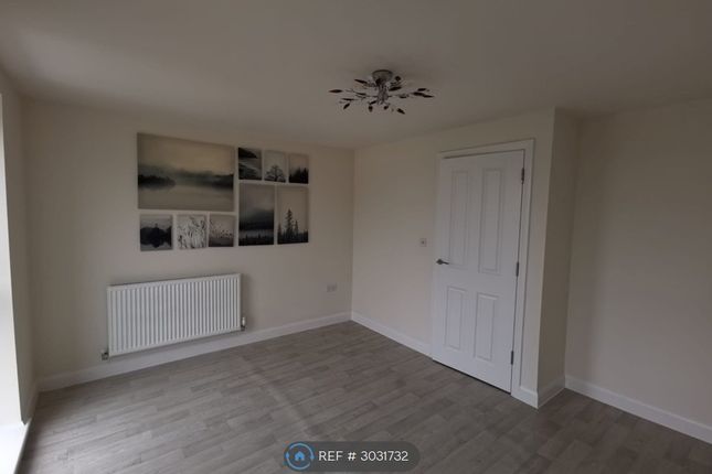 Falmouth Avenue, Cambridge photo 5