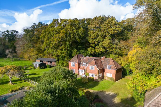 Thumbnail Equestrian property for sale in Warnes Lane, Burley, Ringwood