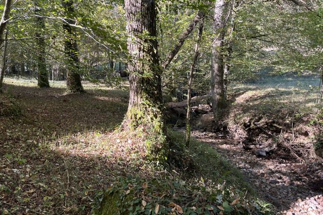 Land for sale in Fourmagnac, Lot, France