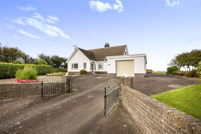 Thumbnail Bungalow for sale in Felinwynt, Cardigan, Ceredigion