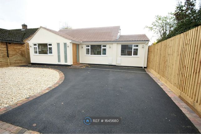 Thumbnail Bungalow to rent in Arden Road, Kenilworth