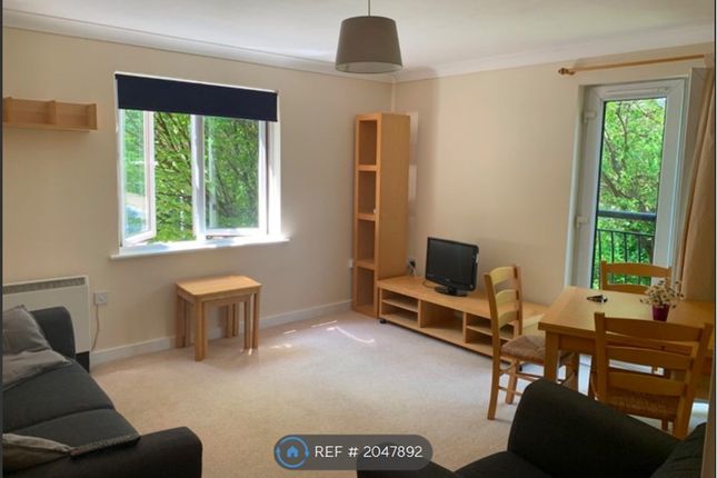 Flat to rent in Amity Court, Cardiff CF10