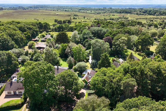 Forest Acres, Forest Road, Fordingbridge photo 3