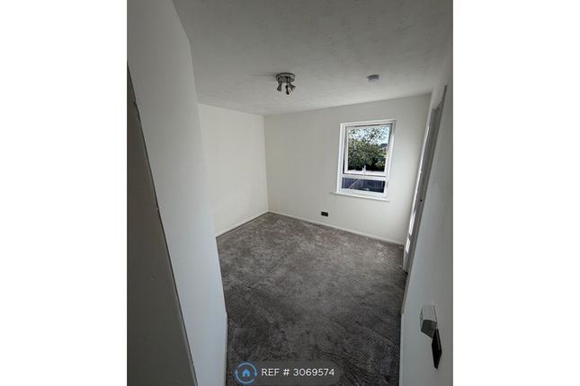 Mearns Place, Chelmsford photo 3