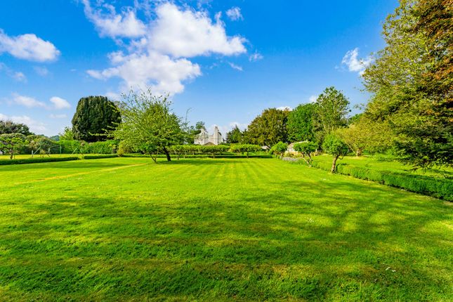 Grounds