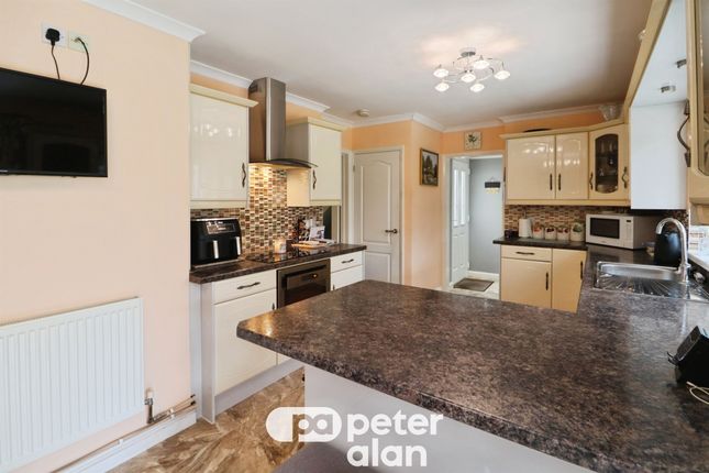 17, Western Drive, Cardiff photo 4