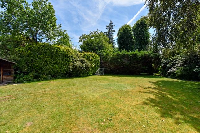 Detached house to rent in Thicket Grove, Maidenhead, Berkshire