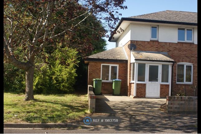 Thumbnail Semi-detached house to rent in Hornchurch Road, Southampton