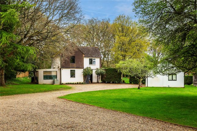 Detached house to rent in Hascombe Road, Godalming, Surrey