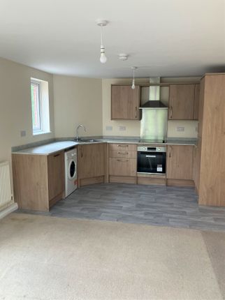 84, Harrowby Street, Cardiff photo 2