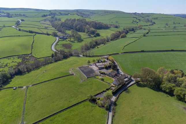Mill Lane Farm (20 Of 21).Jpg