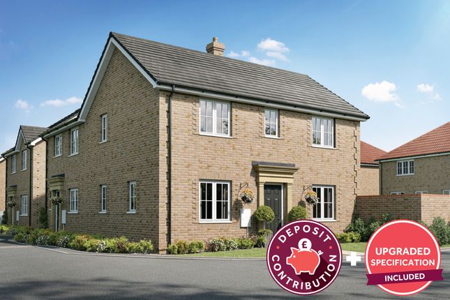 Thumbnail Semi-detached house for sale in "The Mountford" at Meadowsweet Way, Ely
