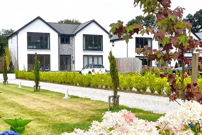 Thumbnail Detached house for sale in Pentewan, St. Austell