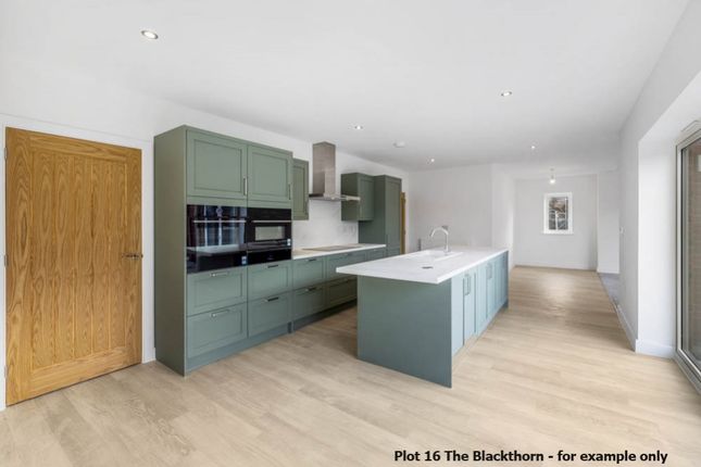 Plot 47 The Blackthorn, Brunswick Fields, Spalding photo 3