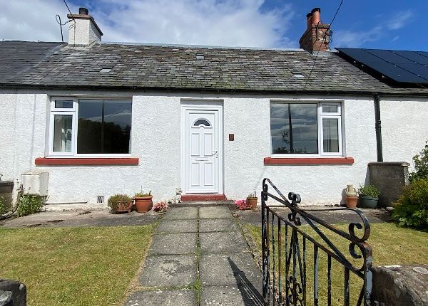 Thumbnail Terraced bungalow to rent in Airlie Place, Alyth, Perthshire